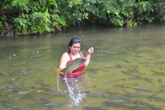 Suzy Cordova brincando com o cardume de  peixes piraputanga, no Balneáreo Estivado - Nobres (MT) (2)