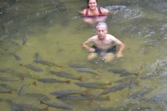 Suzy e José Carlos, rodeado pelo cardume de peixes piraputanga, no Balneário Estivado - Nobres (MT)