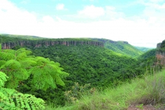 Chapada dos Guimarães - (MT)