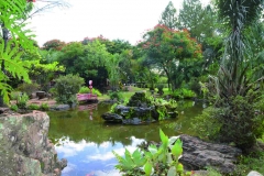 Visão do Jardim Japonês - Caldas  Novas (GO) (2)