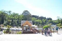 Lago Negro- Paradouro