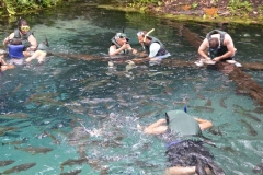 Nossa equipe de gravação - Revista e TV Empresas do Vale e Programa Turismo em Pauta, curtindo o Aquário (1)