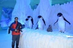 Tiago (Produtor da Revista e TV Empresas do Vale), posando ao lado de diversos pinguins