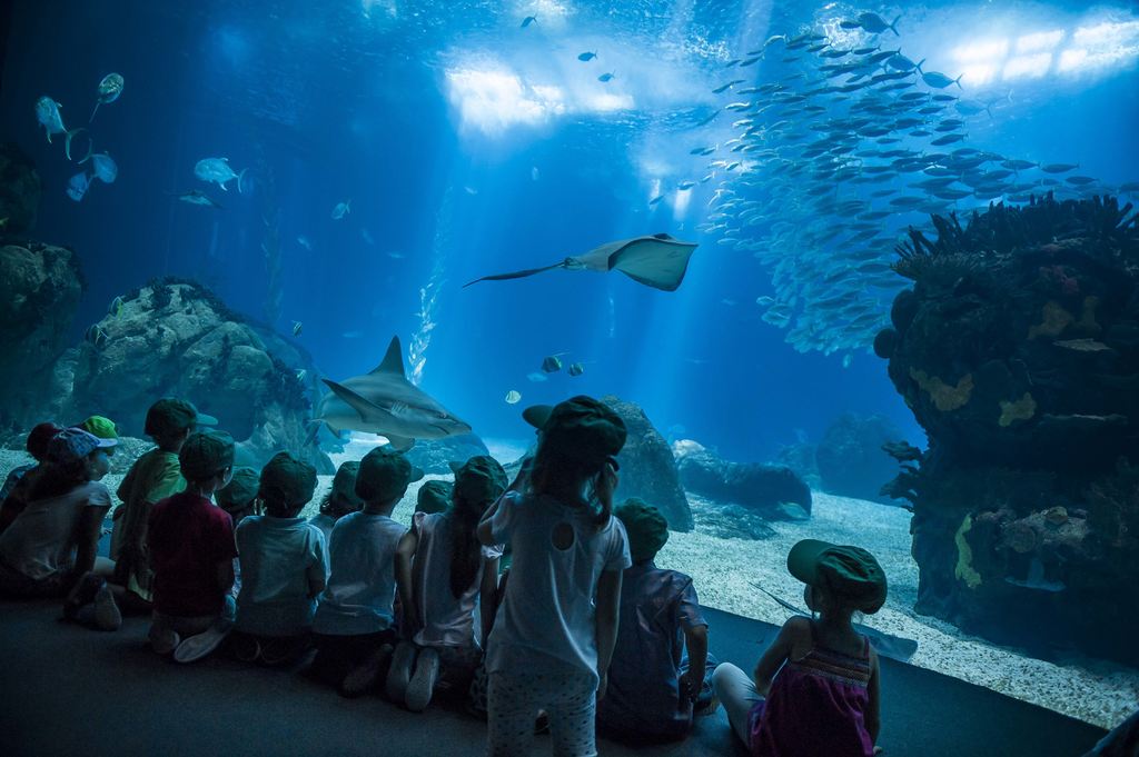 OCEANÁRIO DE LISBOA – PORTUGAL