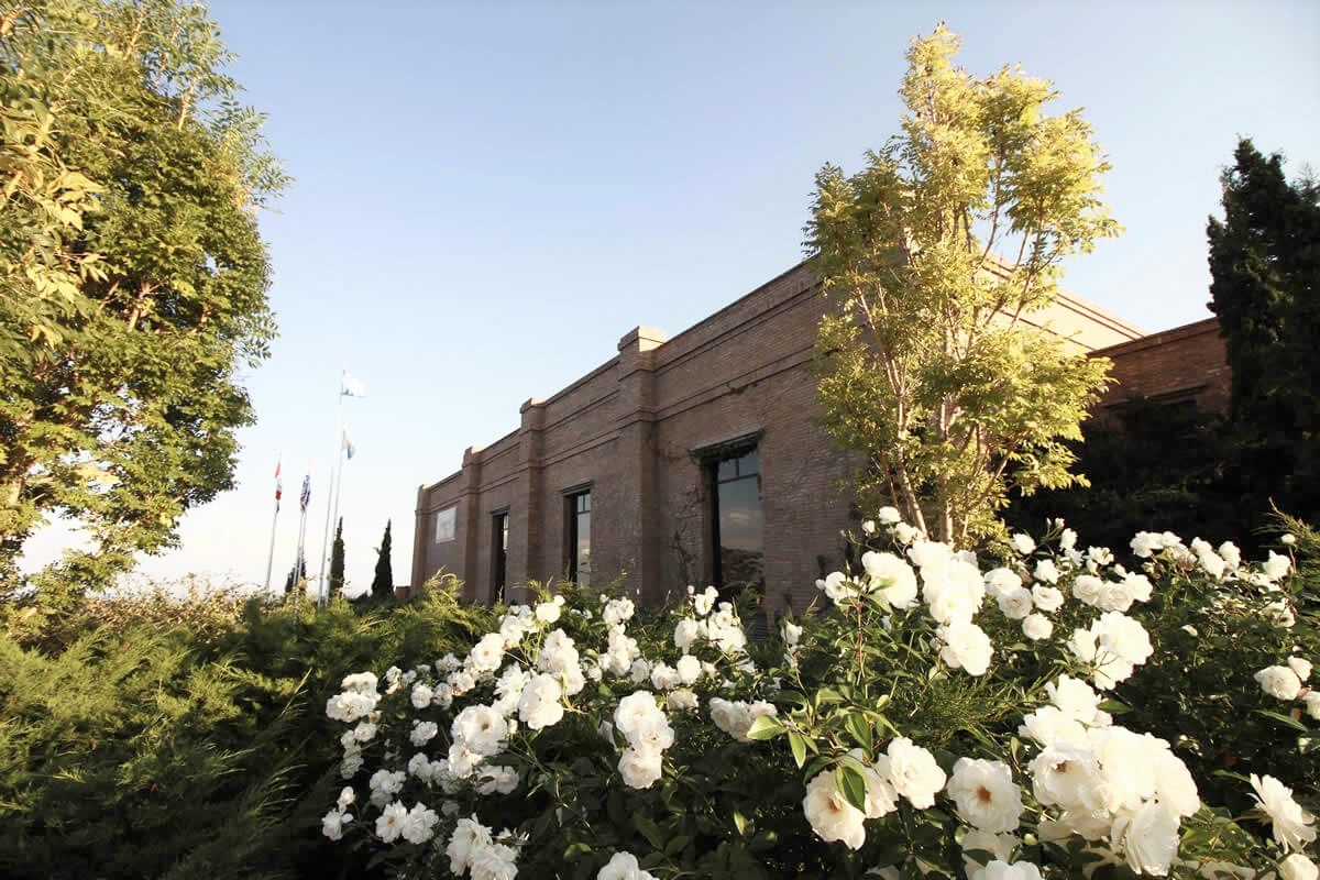 BODEGA ANDELUNA